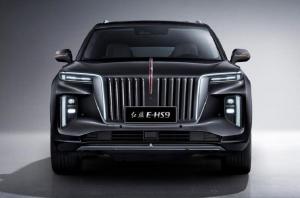 HongQi E-HS9 2020 года 